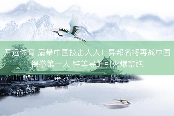 开运体育 扇晕中国技击人人！异邦名将再战中国裸拳第一人 特等寻衅引火爆禁绝