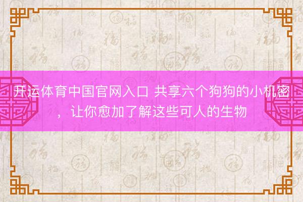 开运体育中国官网入口 共享六个狗狗的小机密，让你愈加了解这些可人的生物
