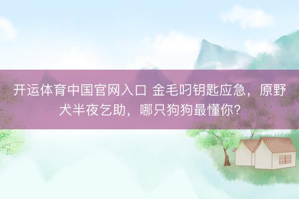 开运体育中国官网入口 金毛叼钥匙应急，原野犬半夜乞助，哪只狗狗最懂你?